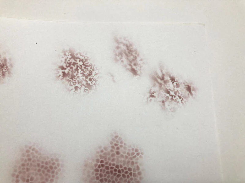 Madworks MT-45 Textured Camouflage Stencil for Painting - Image 5